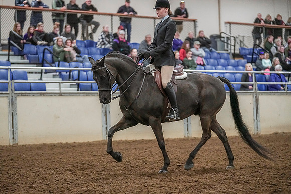Spring Fling - Saturday - April 20, 2019  -  04598