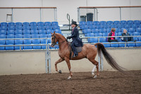 2019 Morgan Horse Show - Aug 31, 2019 - 16897