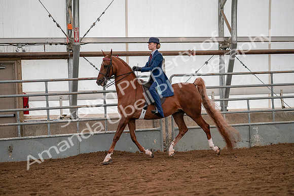 July 19, 2019 - 10231