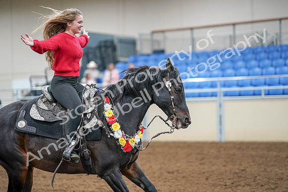 2020 - AB Morgan Horse - Sat, Sept 05 - 10560