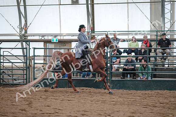 July 20, 2019 - 17144