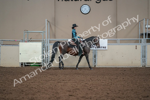 2019 Morgan Horse Show - Aug 30, 2019 - 26129