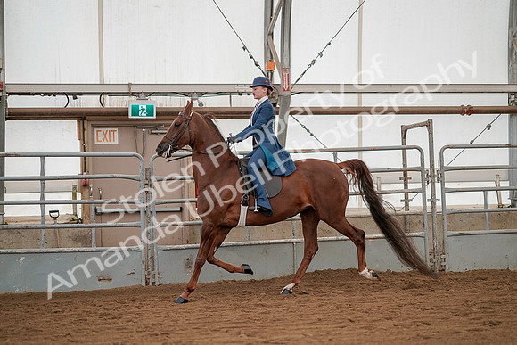 July 20, 2019 - 02126