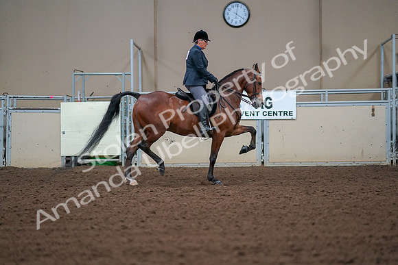 2019 Morgan Horse Show - Aug 30, 2019 - 20748