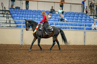 2020 - AB Morgan Horse - Sat, Sept 05 - 10366