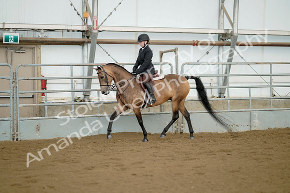 July 21, 2019 - 02146