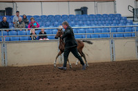 2019 Morgan Horse Show - Aug 30, 2019 - 24653
