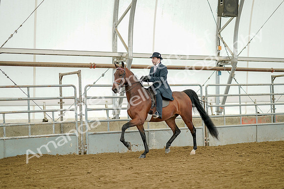 July 20, 2019 - 07354