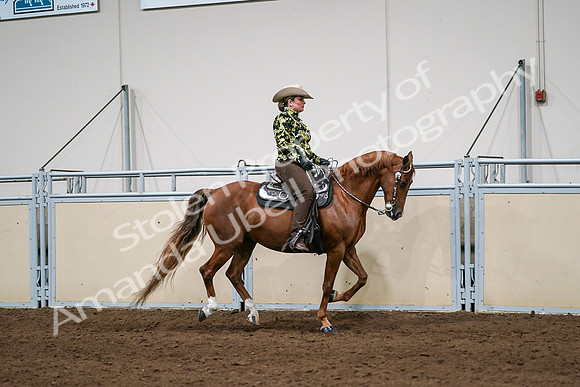 2020 - AB Morgan Horse - Sat, Sept 05 - 08924