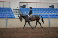 2019 Morgan Horse Show - Aug 31, 2019 - 06311