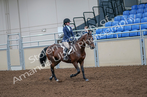 2020 - AB Morgan Horse - Fri, Sept 04 - 06072
