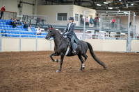 2020 - AB Morgan Horse - Sun, Sept 06 - 08297
