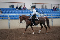 2019 Morgan Horse Show - Aug 31, 2019 - 14111