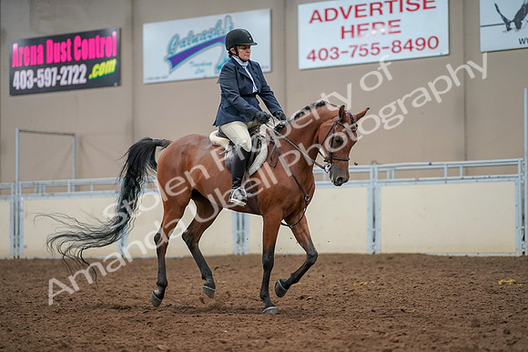 2019 Morgan Horse Show - Aug 30, 2019 - 22543