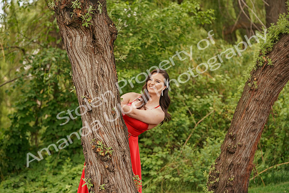 AFR05375