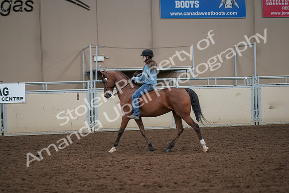 2019 Morgan Horse Show - Aug 30, 2019 - 31181