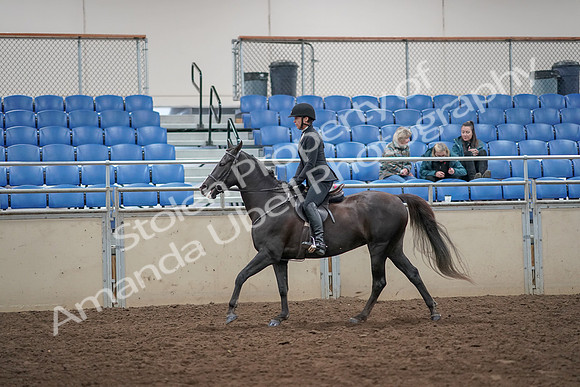 2019 Morgan Horse Show - Aug 31, 2019 - 07368