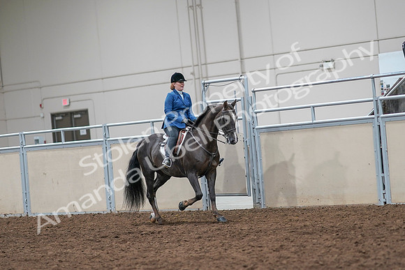 2020 - AB Morgan Horse - Sat, Sept 05 - 05067
