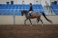 2019 Morgan Horse Show - Sept 01, 2019 - 08521