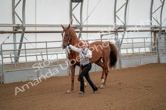 July 19, 2019 - 77