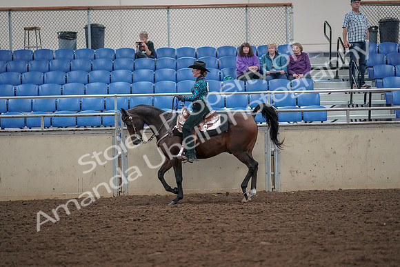2019 Morgan Horse Show - Aug 30, 2019 - 25909