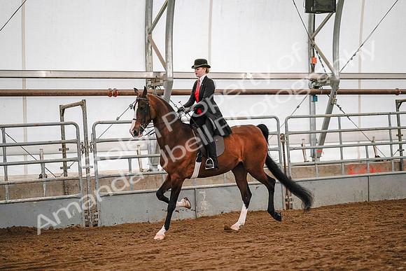 July 19, 2019 - 9039