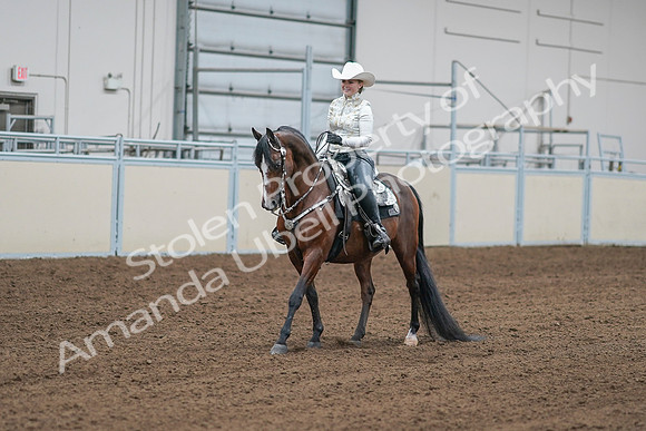 2020 - AB Morgan Horse - Sat, Sept 05 - 09008