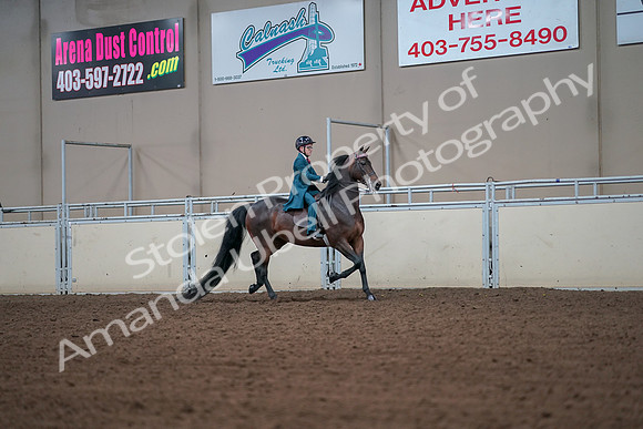 2019 Morgan Horse Show - Aug 30, 2019 - 17993