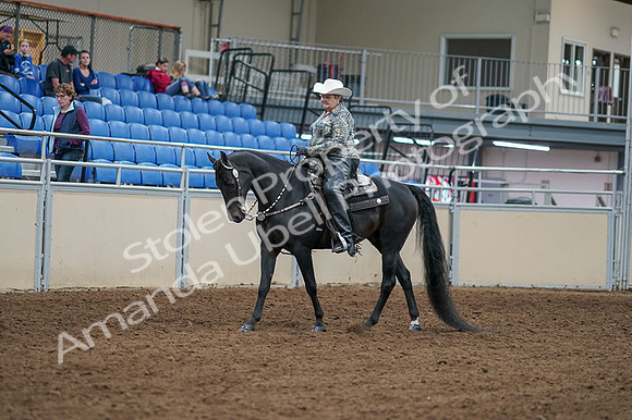 2020 - AB Morgan Horse - Fri, Sept 04 - 03505