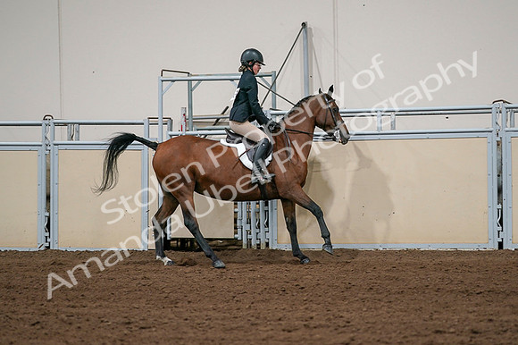 2020 - AB Morgan Horse - Fri, Sept 04 - 02098