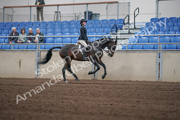 2019 Morgan Horse Show - Sept 01, 2019 - 03876