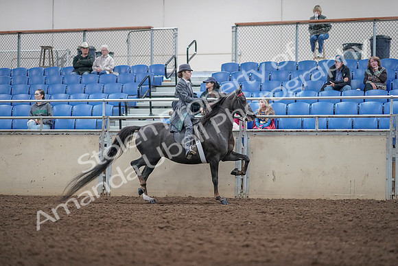 2019 Morgan Horse Show - Aug 31, 2019 - 09639