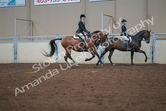 2019 Morgan Horse Show - Aug 30, 2019 - 20996