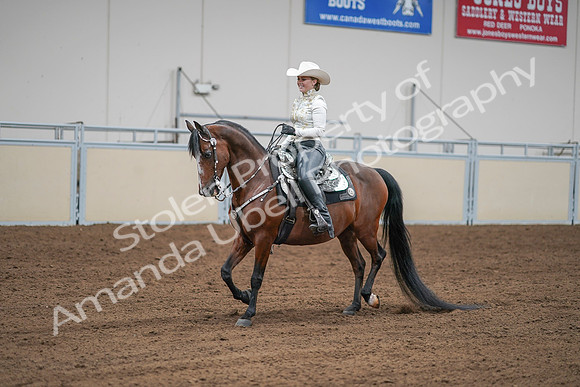 2020 - AB Morgan Horse - Sat, Sept 05 - 09034