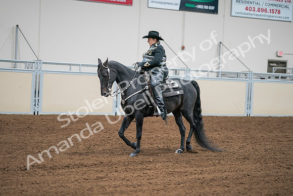 2020 - AB Morgan Horse - Sat, Sept 05 - 08958