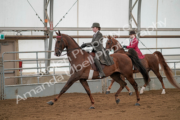 July 20, 2019 - 02210