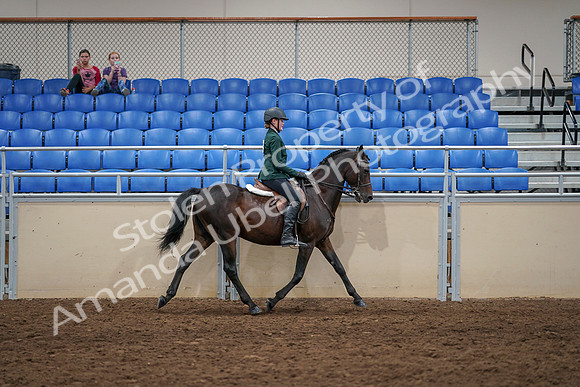2020 - AB Morgan Horse - Sat, Sept 05 - 05060