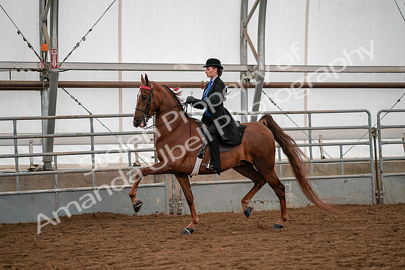 July 19, 2019 - 10301