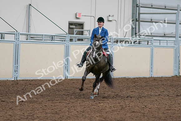 2020 - AB Morgan Horse - Sat, Sept 05 - 05237