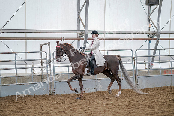 July 20, 2019 - 14402