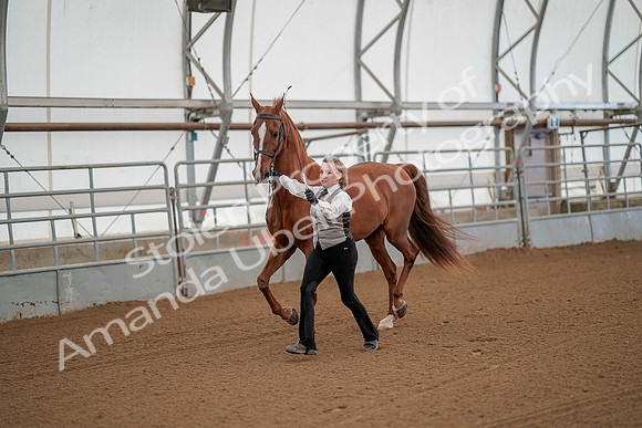 July 19, 2019 - 71