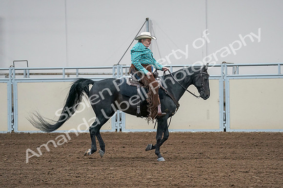2020 - AB Morgan Horse - Fri, Sept 04 - 00605