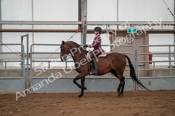 July 19, 2019 - 2596