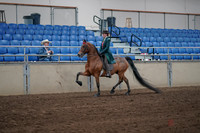 2019 Morgan Horse Show - Sept 01, 2019 - 13162