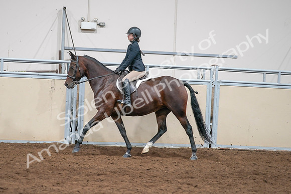 2020 - AB Morgan Horse - Sat, Sept 05 - 04977