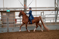 July 19, 2019 - 10237