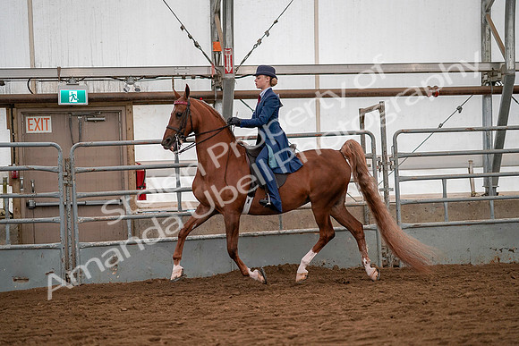 July 19, 2019 - 10237