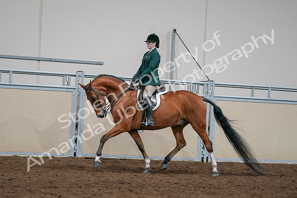 2020 - AB Morgan Horse - Sat, Sept 05 - 05024