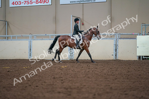2019 Morgan Horse Show - Aug 30, 2019 - 21030