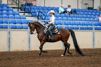 2020 - AB Morgan Horse - Sat, Sept 05 - 08878